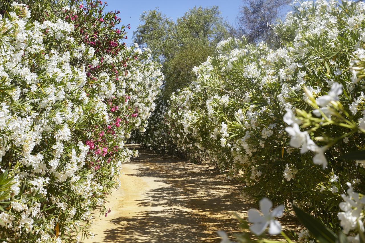 فندق Hacienda De San Rafael لاس كابيثاس دي سان خوان المظهر الخارجي الصورة