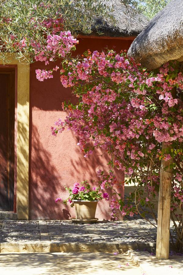 فندق Hacienda De San Rafael لاس كابيثاس دي سان خوان المظهر الخارجي الصورة